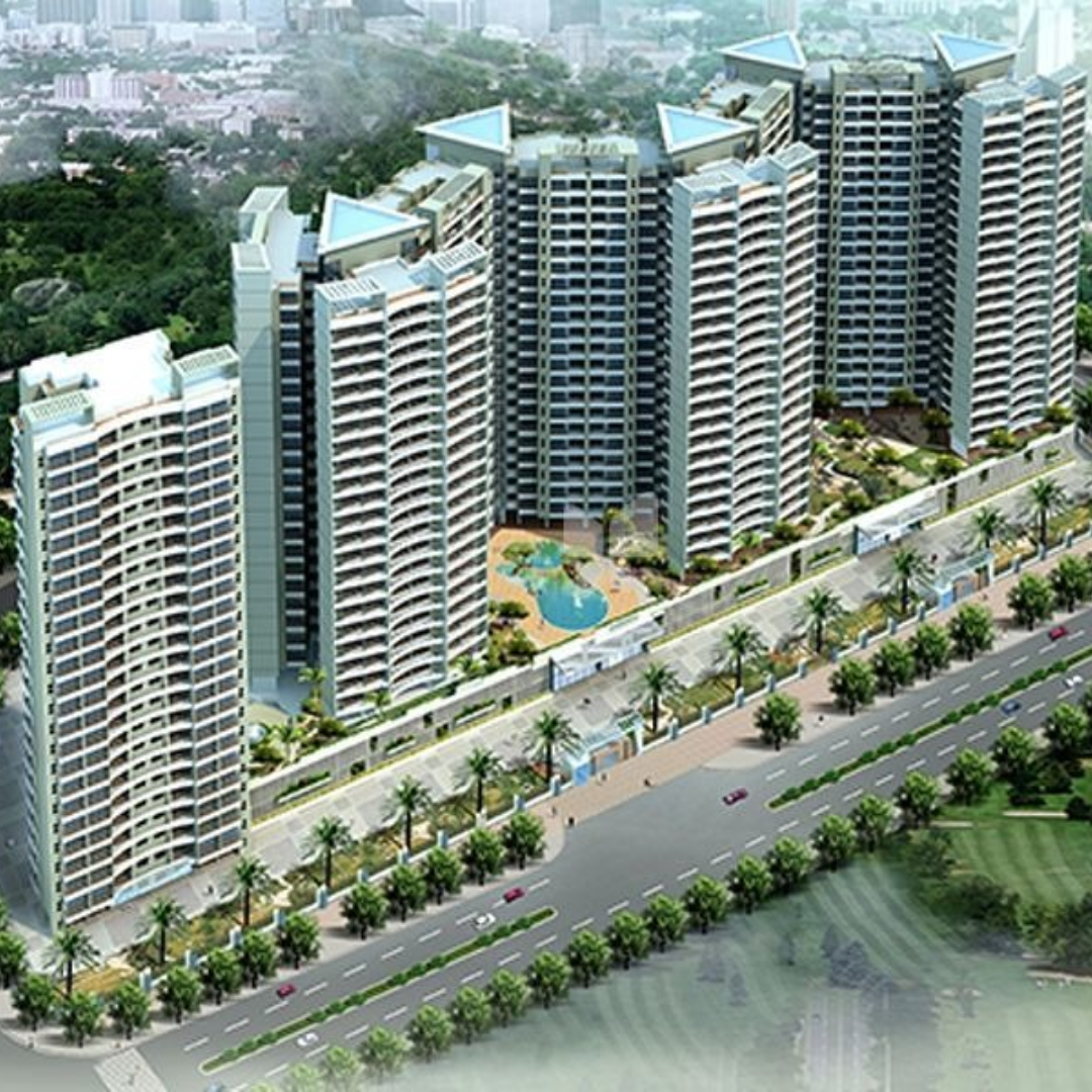 Orchid Suburbia